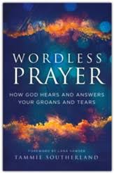 Walking In ALOHA: 5 Steps to Living Your God Potential Life: Phoenix Rose:  9798385013548