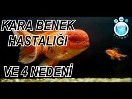 Kara Benek Kararma Hastaligi Ve Tedavisi Youtube