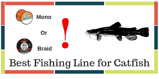 10 Best Fishing Line For Catfish From All Types Of Line