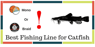 10 best fishing line for catfish from all types of line