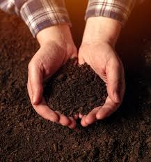 You'll find the best soil for cannabis in these soil mixes, such as beneficial bacteria, fungi, macronutrients, micronutrients, and vitamins | the highest crop. The Ultimate Topsoil Guide Wgh Wiltshire Grab Hire
