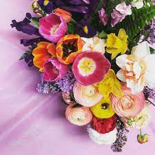 Wholesale floral supplies & wholesale wedding supplies. Wholesale Florists Sequoia Floral Santa Rosa Ca