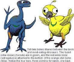 We did not find results for: Dinosaurs And Birds