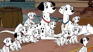 A collie dog character in the movie. Dalmatian Dog Names Male Female Over 100