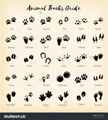 animal tracks foot print guide dog tattoos animal