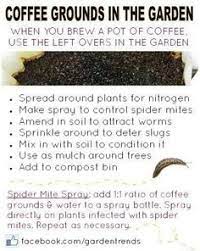 We did not find results for: 120 Coffee Grounds Ideas Coffee Grounds Uses For Coffee Grounds Coffee