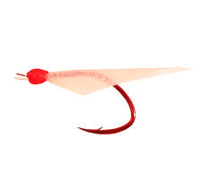 Image result for Sabicea dinklagei