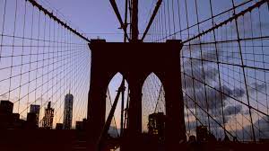 Learn more by alan martin 04. Free Stock Video Footage Download 4k Hd Clips