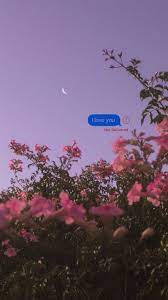 Pin On Wallpapers