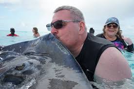 Let's welcome our new members! Wayne De Whizzle, Lisa Beard Merrell, Jeff  Simons, Linda Snyder, DZAQUI, Silvia Barahona, Beata Urbanowicz, Brenda  Grady, Cara Couvillion Rodgers, Mary Ellen, Amy Masters Harich, Tavaney  Bodden,