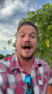 Berkshire Hathaway HomeServices Florida Properties Group