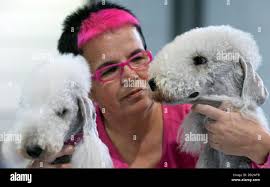 Edith the fair hi-res stock photography and images