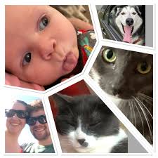 Everyone's lives have changed so much since high school! What does your  life look like now? Post a picture (or a few, I've become addicted to  collages) to show how your life