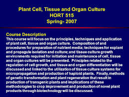 Check spelling or type a new query. Plant Cell Tissue And Organ Culture Hort 515 Spring 2007 March 26 April 27 Mwf 12 30 1 20p Hort 210 Mike Hasegawa Hort 324 Ppt Download