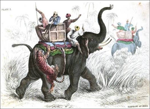 Colonising Elephant Hunting in Assam (1826–1947) - Geetashree Singh, 2020