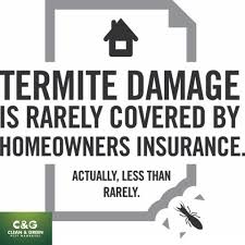 Is termite damage covered by insurance australia? Did You Know Termite Clean Green Pest Managers Facebook