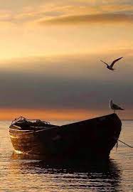 Pin By Branka On Bellas Postales Nature Photo Photography