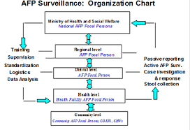 Organization Of Afp Surveillance System In Who Afr Countries