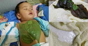 Tepuk ini bertujuan untuk memudahkan pengeluaran kahak. Ikhtiar Keluarkan Kahak Bayi Menggunakan Daun Sireh Dan Minyak Telon Pa Ma