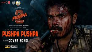 PUSHPA PUSHPA COVER SONG ( Pushpa 2 The Rule ) Allu Arjun