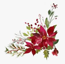 Premium wholesale flowers · quality customer service Bouquet Png Pinterest Poinsettia Transparent Burgundy Flowers Png Download Transparent Png Image Pngitem