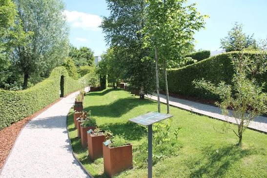 Herba Sana &agrave; Elsenborn | Jardin des plantes m&eacute;dicinales