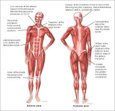A Lot Of Us Have Come Together On This Site And Others Because We All Have One Thing In Common Fibro Fibromyalgia Fibromyalgia Syndrome Treating Fibromyalgia