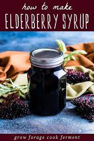 How To Make Elderberry Syrup Simple Recipe With Fresh Or Dried Berries Recipe Elderberry Syrup Elderberry Elderberry Syrup Recipe