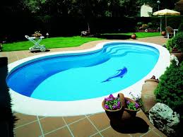 Piscines Coques Forme Libre