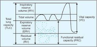 Image result for Functional Residual Capacity
