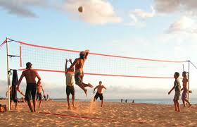 French volleyball federation has just announced the official 12 man roster for france men volleyball team to tokyo olympics. Playing Volleyball Rules History How To Play Drills Court