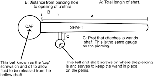 Unveiling Prince Albert piercings: The ultimate UK guide.