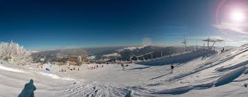 Chiens de traîneau | activités hiver courchevel. Bienvenue Sur Le Schnepfenried Le Schnepfenried