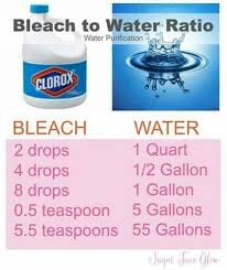 Bleach is such a potent chemical that it can destroy most. Bleach To Water Ratio To Purify Water Emergency Prepping Survival Prepping Preparedness