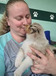 Puppy pictures and videos of Benjamin's siblings