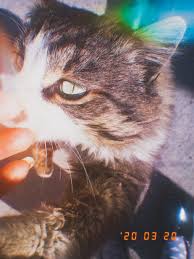 pin na doske djssooapapsn