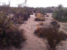 Check spelling or type a new query. Flash Flood In Yucca Valley On Make A Gif