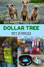 Dollar Tree Pet Supplies A Snorkey Day Dog Supplies List Pets Positive Dog Training