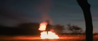 Home cinema torino film festival 2020 sin señas particulares di fernanda valadez. Identifying Features Alpha Violet