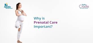 What is prenatal care and why is it important. Why Is Prenatal Care Important Apollo Cradle
