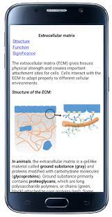 Bi101a is a survey course that introduces the discipline of cellular biology, exploring topics including the scientific method, parts of a cell, and how . Cell Biology 101 For Android Apk Download
