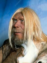 Head of a model of a neanderthal man - Stock Image - E438/0076 - Science  Photo Library