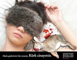 Kurk Gerceginde Yaptiklarimiz Kutuphane Haytap Haytap Hayvan Haklari Federasyonu