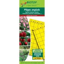 Piège cage à ragondin cm. Anti Nuisibles Gamm Vert