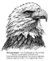 Mar 01, 2019 · victoria and nicholas, two american bald eagles, have a story of hope in the midst of life's storms, literally! Bald Eagle Coloring Page Crayola Com
