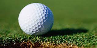 So, you must keep a few critical notes about. All About Golf Balls Indoindians Com