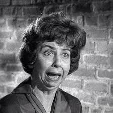 Before the “Ring” Doorbell, there was Gladys Kravitz** *Alice Pearce