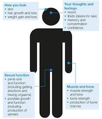 Side Effects Of Hormone Therapy Prostate Cancer Uk