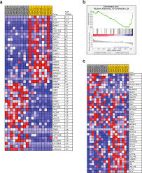 How does prostate cancer develop? Wasf1 Deletion May Identify An Aggressive Subtype Of Prostate Cancer Download Scientific Diagram