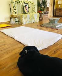 To live in hearts we leave behind is not to die.. On Special Prayer In Memory Of Sushant Singh Rajput Late Actor S Dog Fudge Makes An Appearance